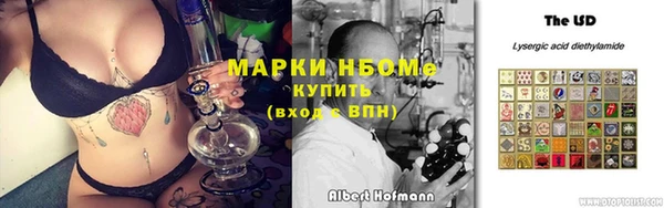 прущие грибы Армянск