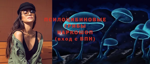 прущие грибы Армянск