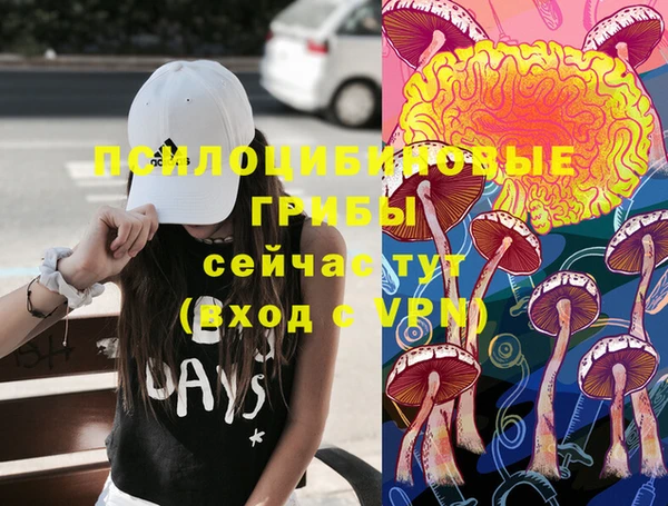 прущие грибы Армянск