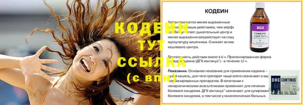 прущие грибы Армянск