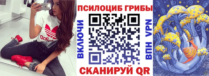 Галлюциногенные грибы Magic Shrooms Среднеуральск